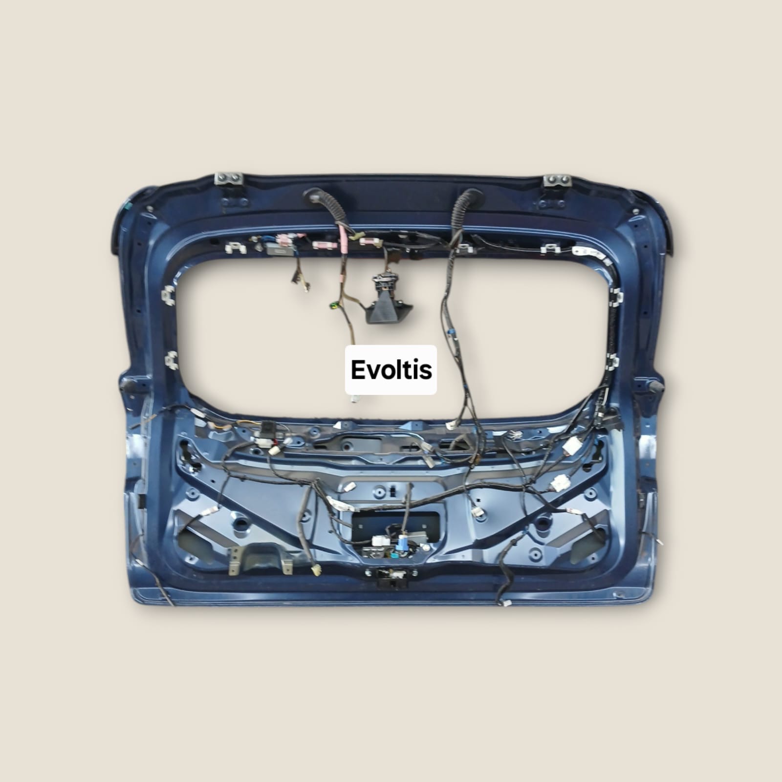 IMG-20241211-WA0151(1)